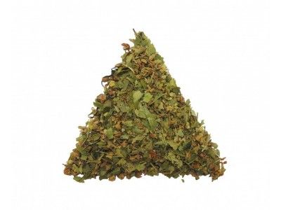 Балканская липа